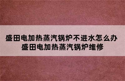 盛田电加热蒸汽锅炉不进水怎么办 盛田电加热蒸汽锅炉维修